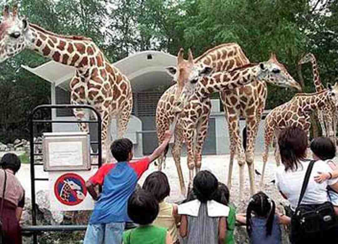 Educational / Fun Trips